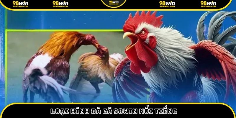 Loại hình đá gà 98WIN nổi tiếng