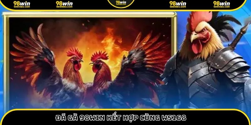 Đá gà 98WIN kết hợp cùng Ws168