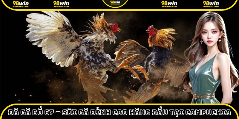đá gà bồ 67