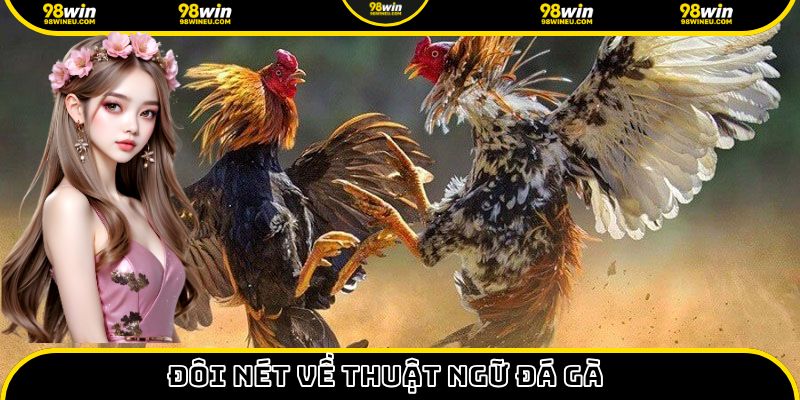 Đôi nét về thuật ngữ đá gà