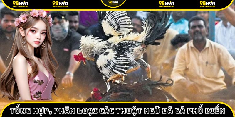 Tổng hợp và phân loại các thuật ngữ đá gà phổ biến